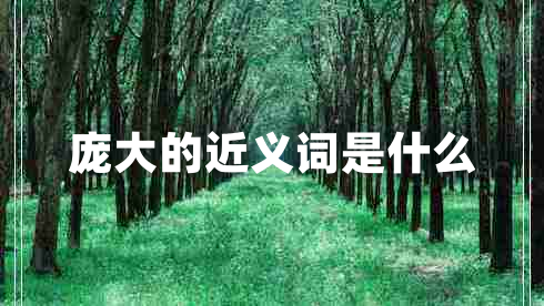 龐大的近義詞是什么