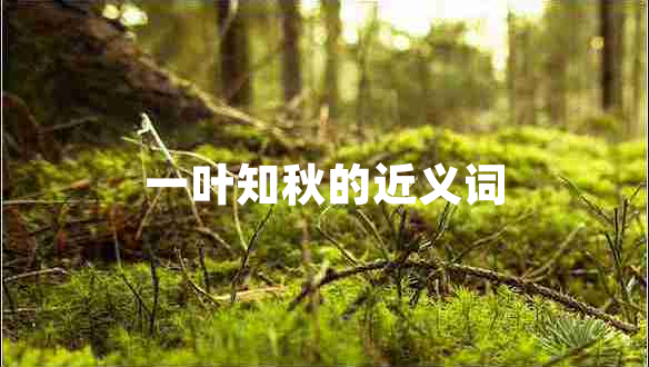 一葉知秋的近義詞