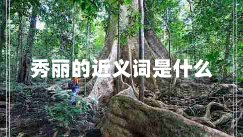 秀麗的近義詞是什么