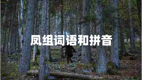 鳳組詞語和拼音