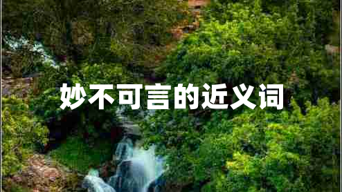 妙不可言的近義詞