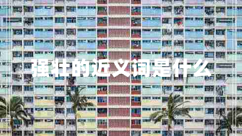 強壯的近義詞是什么