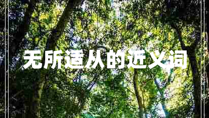 無(wú)所適從的近義詞