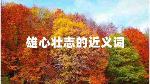 雄心壯志的近義詞