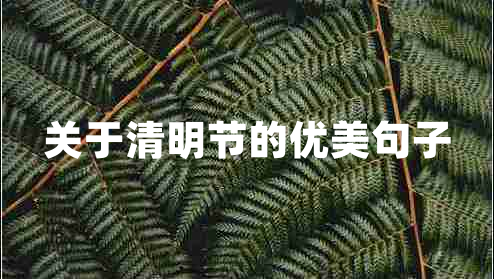 關(guān)于清明節(jié)的優(yōu)美句子