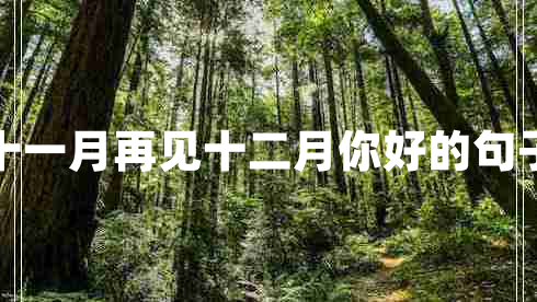 十一月再見十二月你好的句子