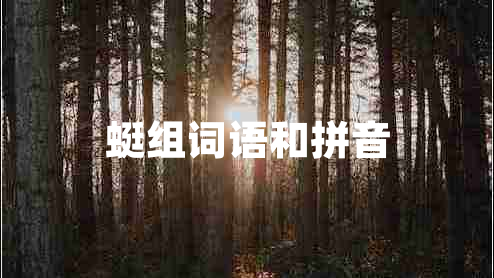 蜓組詞語和拼音