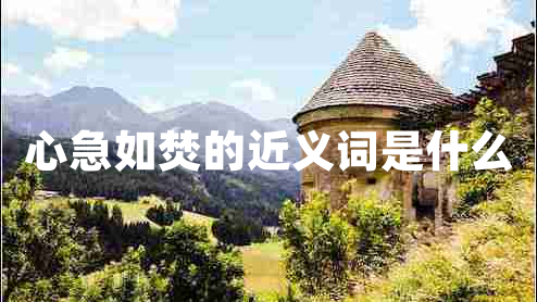 心急如焚的近義詞是什么