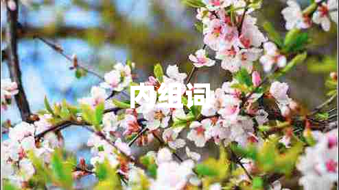 內(nèi)組詞 內(nèi)組詞