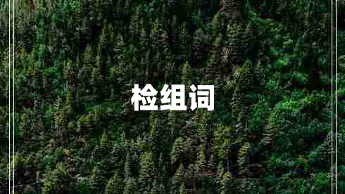 檢組詞