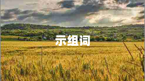 示組詞 示組詞