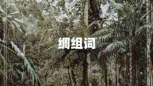綢組詞