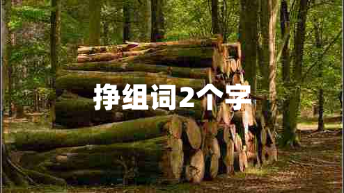 掙組詞2個字