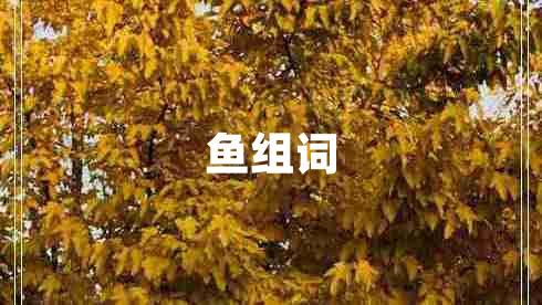 魚組詞