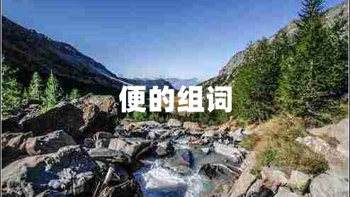 便的組詞 便的組詞