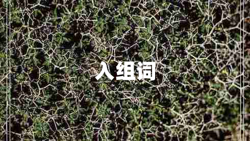 入組詞 入組詞