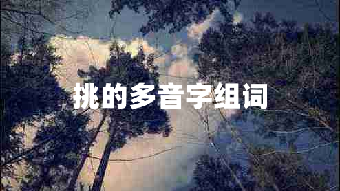 挑的多音字組詞 挑的多音字組詞