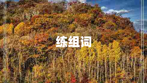 練組詞 練組詞