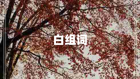 白組詞
