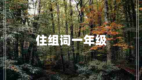 住組詞一年級(jí) 住組詞一年級(jí)