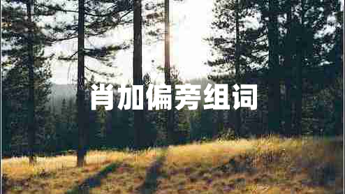 肖加偏旁組詞 肖加偏旁組詞