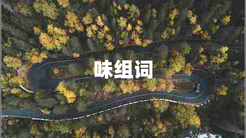 味組詞 味組詞