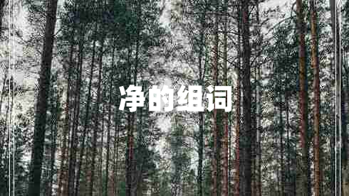 凈的組詞 凈的組詞