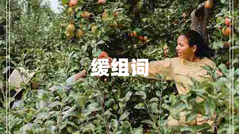 緩組詞