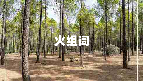 火組詞