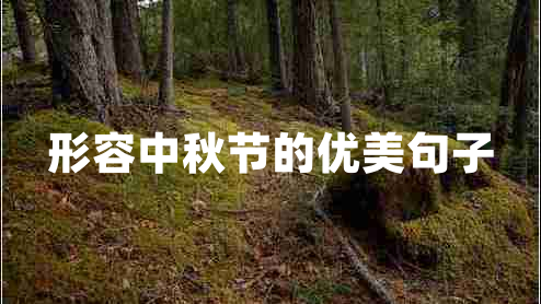 形容中秋節(jié)的優(yōu)美句子