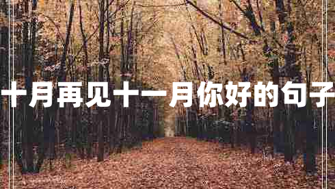 十月再見十一月你好的句子