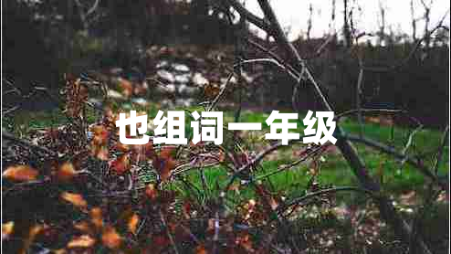 也組詞一年級(jí)