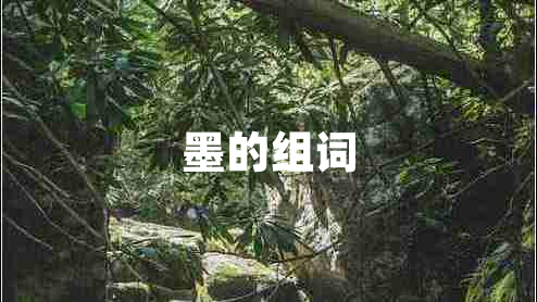 墨的組詞 墨的組詞