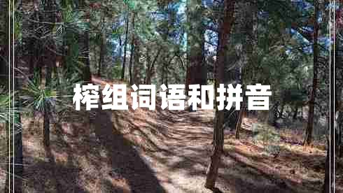 榨組詞語和拼音