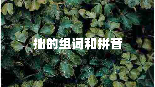 拙的組詞和拼音 拙的組詞和拼音