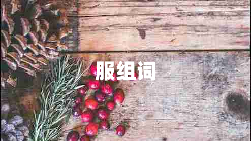 服組詞