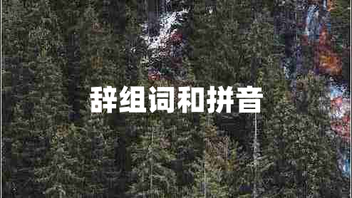 辭組詞和拼音 辭組詞和拼音