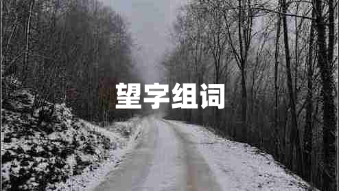 望字組詞