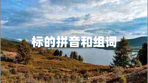標的拼音和組詞