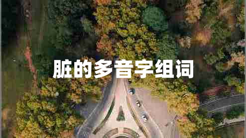 臟的多音字組詞