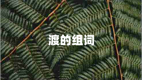 渡的組詞 渡的組詞