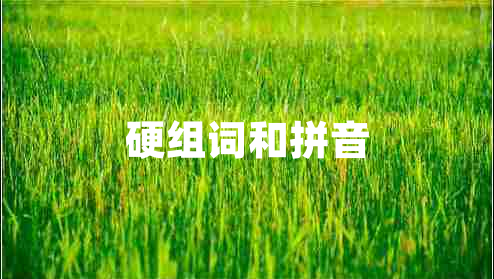 硬組詞和拼音