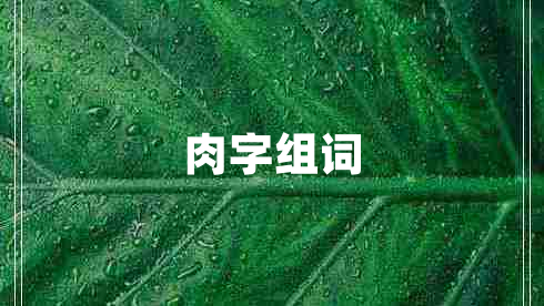 肉字組詞