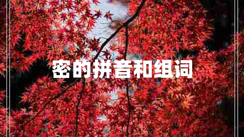 密的拼音和組詞