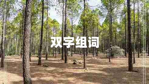 雙字組詞