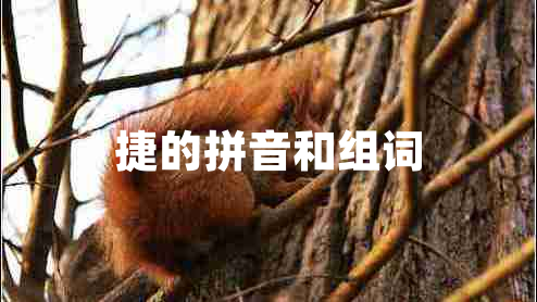 捷的拼音和組詞