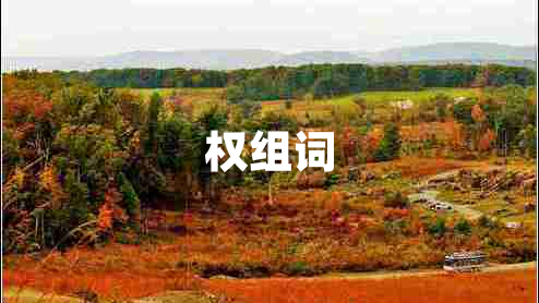 權(quán)組詞 權(quán)組詞