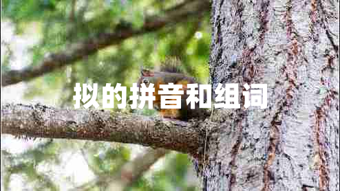 擬的拼音和組詞