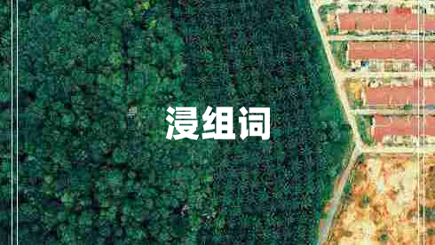 浸組詞 浸組詞