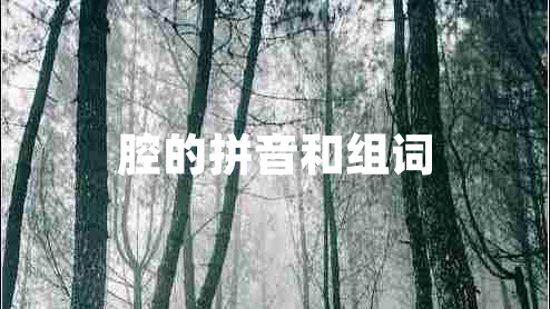 腔的拼音和組詞